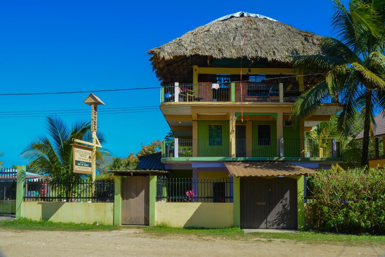 A Piece Of Ground Hostel Punta Gorda Buitenkant foto